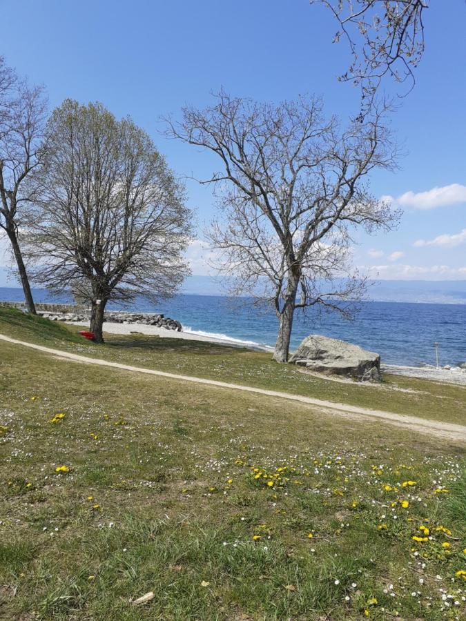 Charmant Appartement A 150 M Des Thermes Et Du Centre Ville Thonon-les-Bains Exterior foto